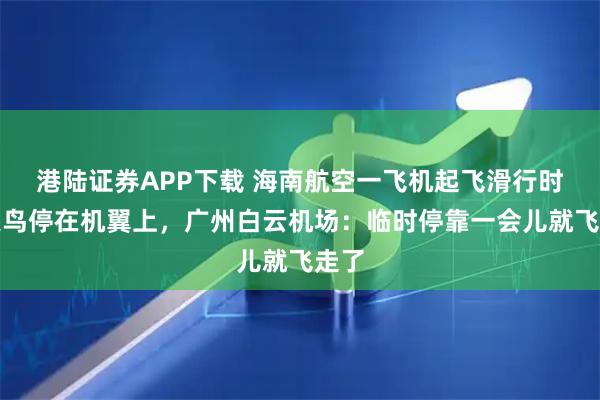 港陆证券APP下载 海南航空一飞机起飞滑行时一只鸟停在机翼上，广州白云机场：临时停靠一会儿就飞走了