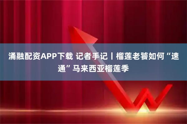 涌融配资APP下载 记者手记丨榴莲老饕如何“速通”马来西亚榴莲季