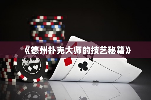 《德州扑克大师的技艺秘籍》